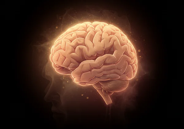 Cervello che lotta con i compiti, a simboleggiare la disfunzione esecutiva