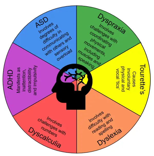 Gráfico listando 11 tipos de neurodivergência com suas características.